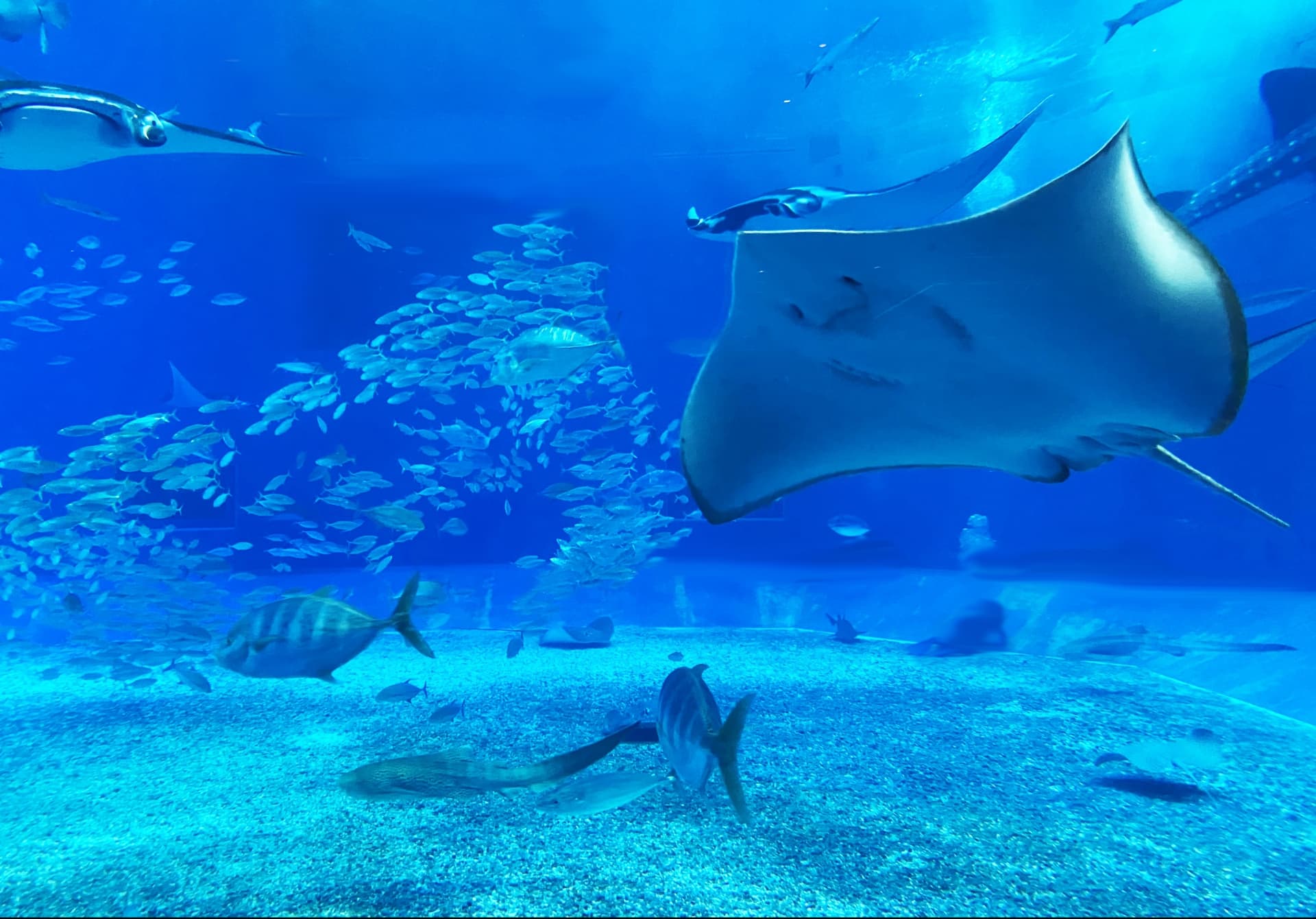 三井交通株式会社イメージ画像